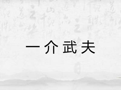 一介武夫