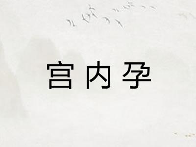 宫内孕