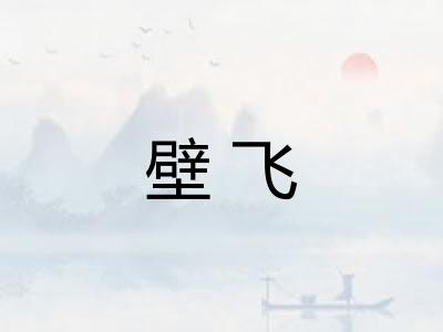 壁飞
