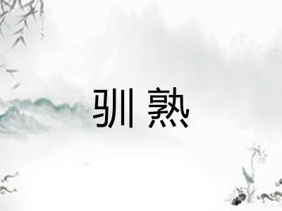 驯熟