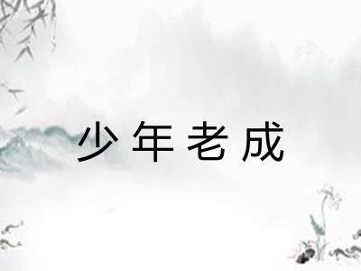 少年老成