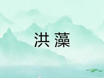 洪藻