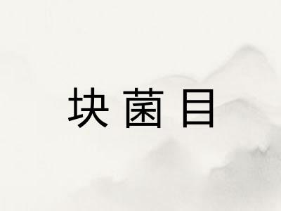 块菌目