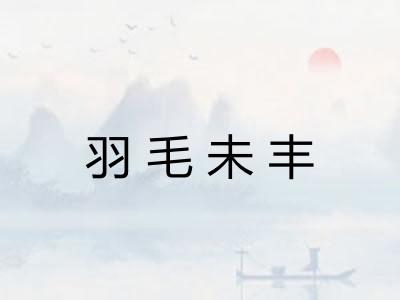 羽毛未丰