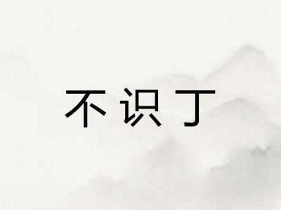 不识丁