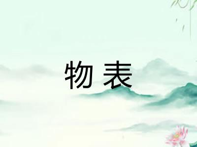 物表