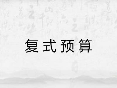 复式预算