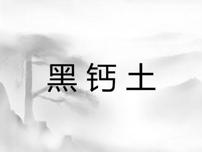 黑钙土