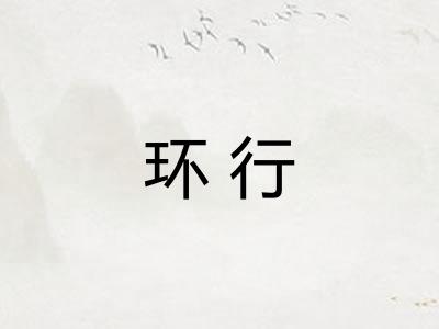 环行