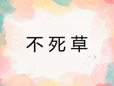 不死草
