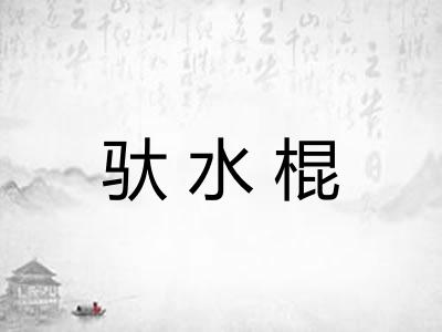 驮水棍