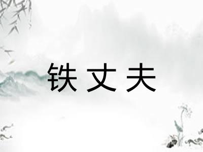 铁丈夫