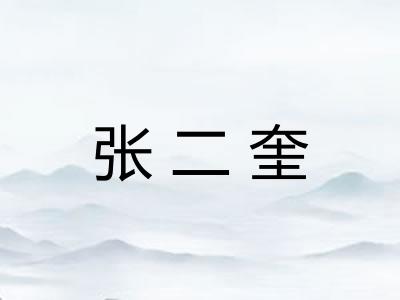 张二奎