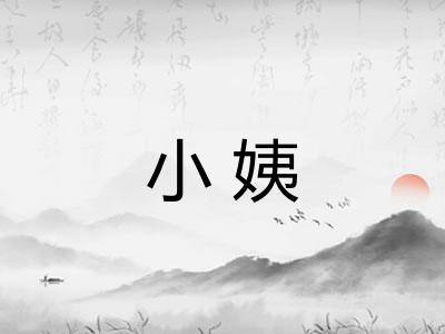 小姨