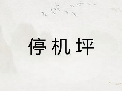 停机坪