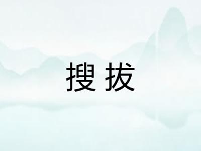 搜拔