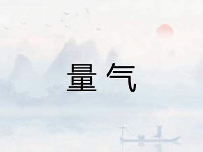 量气