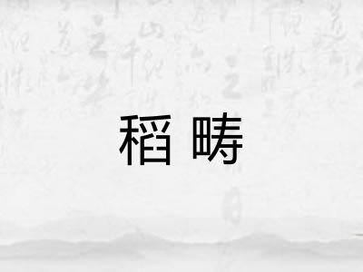 稻畴