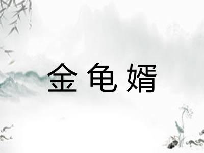 金龟婿
