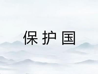 保护国