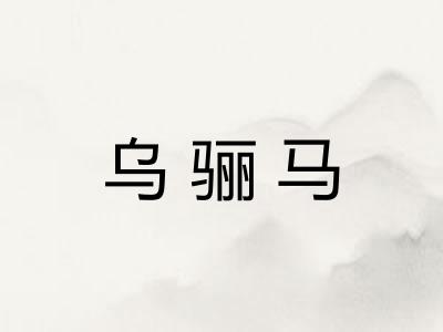 乌骊马