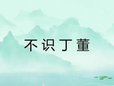 不识丁董