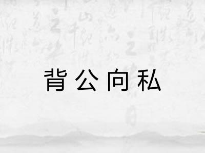 背公向私