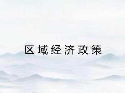 区域经济政策