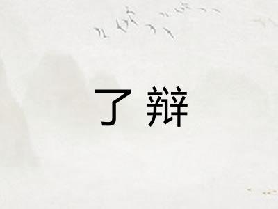 了辩