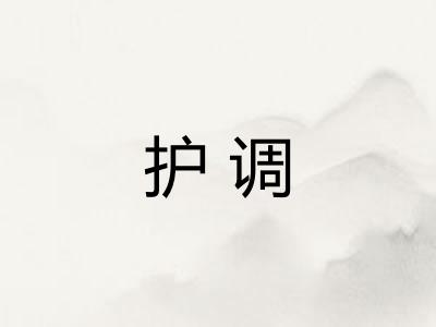 护调