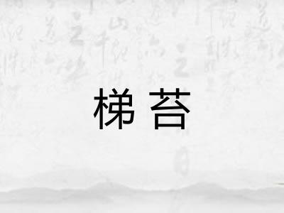 梯苔