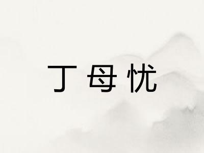 丁母忧