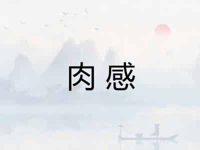 肉感