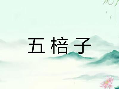 五棓子
