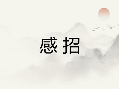 感招