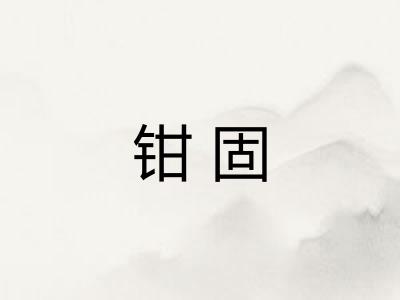 钳固