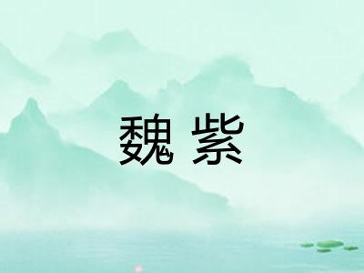 魏紫