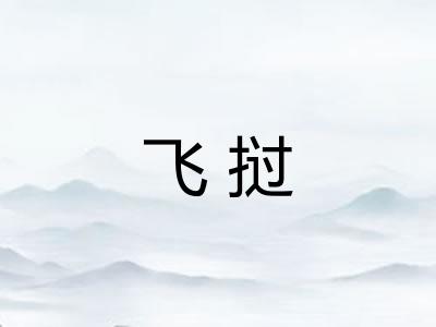 飞挝