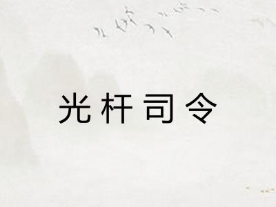 光杆司令