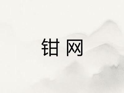 钳网