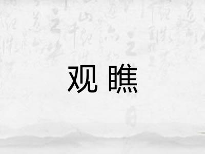 观瞧
