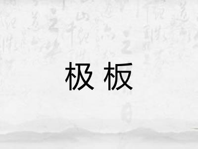 极板