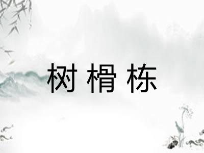 树榾栋