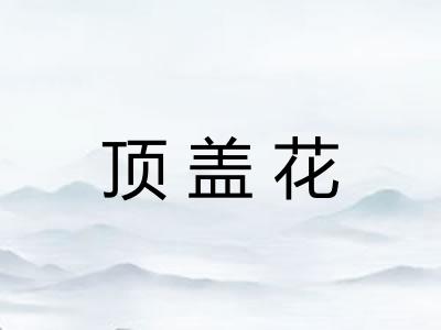 顶盖花