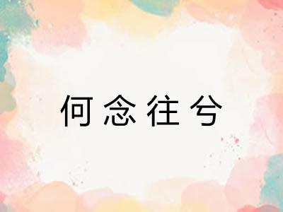 何念往兮