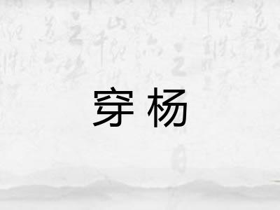 穿杨