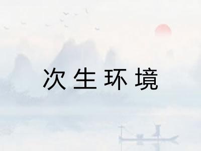 次生环境