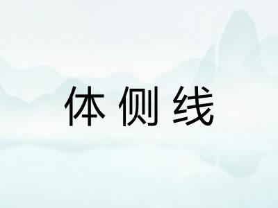 体侧线