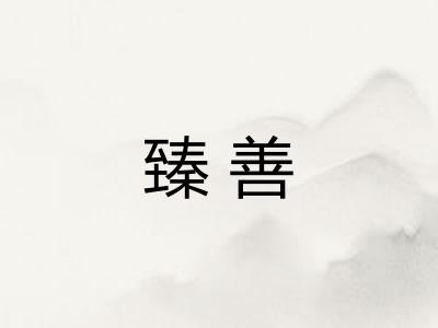 臻善