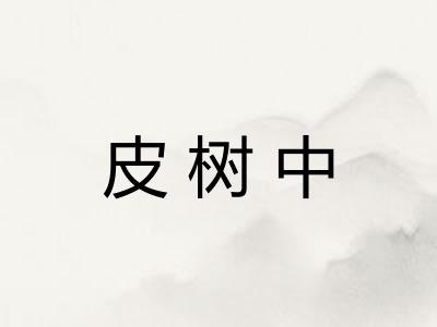 皮树中